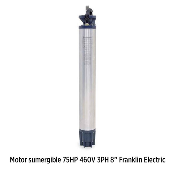 Foto principal real del producto Motor sumergible de 75HP 460V Trif?sico Y-D 8" marca Franklin Electric NEMA 8" Encapsulados MPN:2396238641