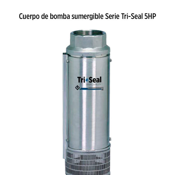 Foto principal real del producto Cuerpo de bomba (sin motor) para pozo Qnom:125GPM 5HP , Hest:34m DiaExt:6" DiamDesc:3"plg ETA Serie Tri-Seal High Capacity 6" para acoplar a motor de Dual 4" y 6"PLG, marca Frankli MPN:93652502