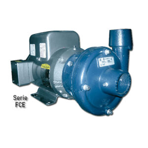Foto principal real del producto Bomba centrifuga con motor Baldor o similar NEMA e Impulsor en Noryl 1.5HP 50GPM 110/220V Trif?sico Hest25m Serie FCE Succ/Desc 1-1/4 x 1" marca Franklin Electric CD: MPN:90203015