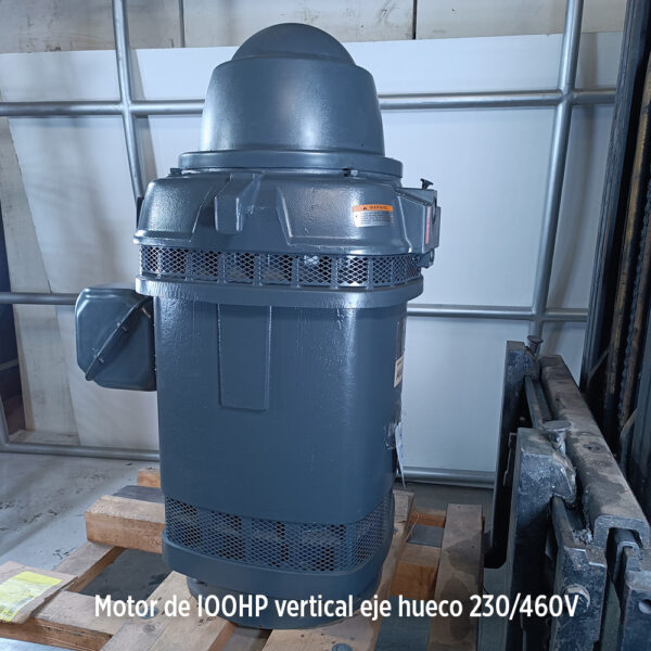 Foto secundaria real del producto Motor vertical 100HP USmotor H0100S2RLG