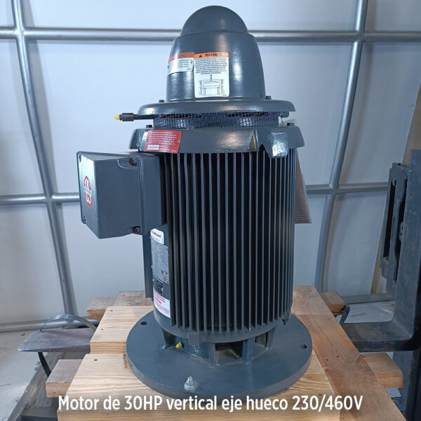 Foto secundaria real del producto Motor vertical 30HP USmotor H030E2BLG