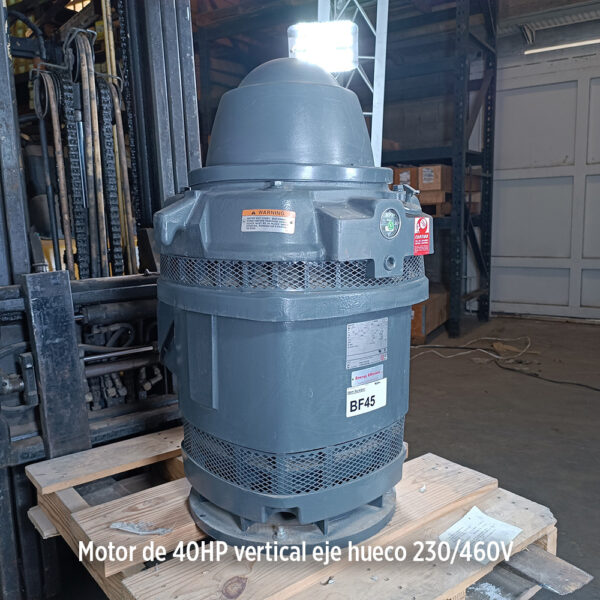 Foto secundaria real del producto Motor vertical 40HP USmotor H04E2BLG