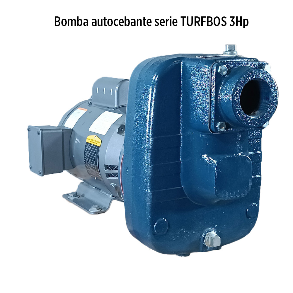 Bomba agua de caudal 3HP 2in Franklin 92980030