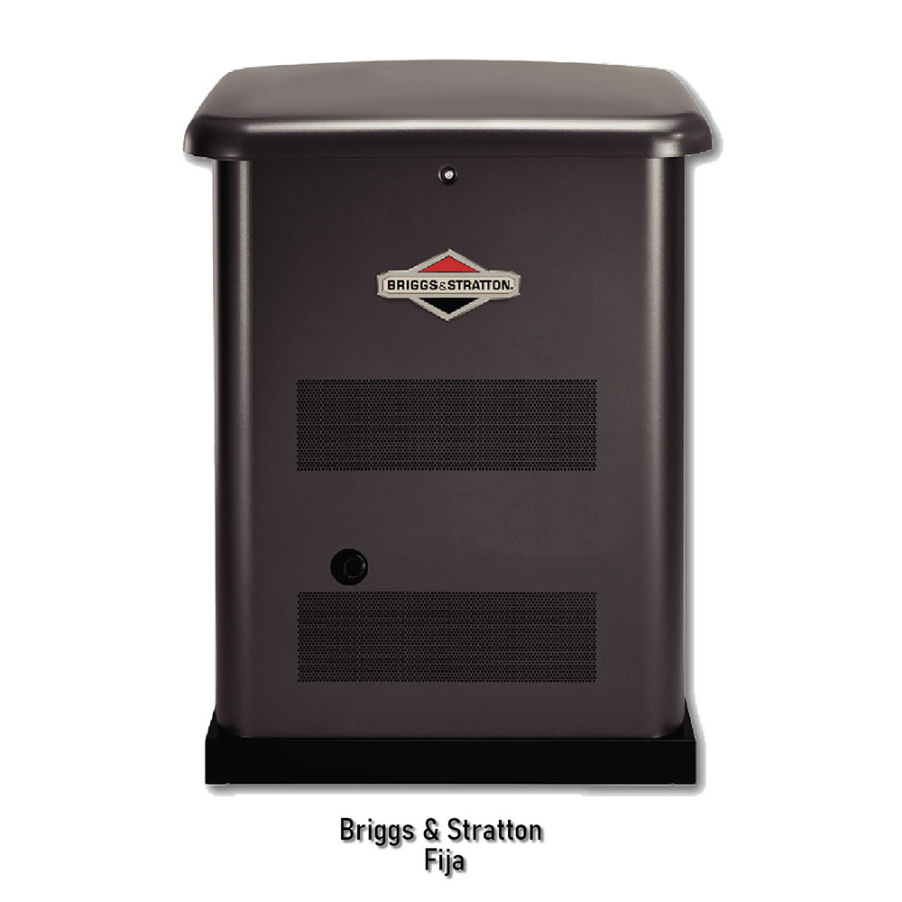 Planta a gas 10KW Briggs 040375
