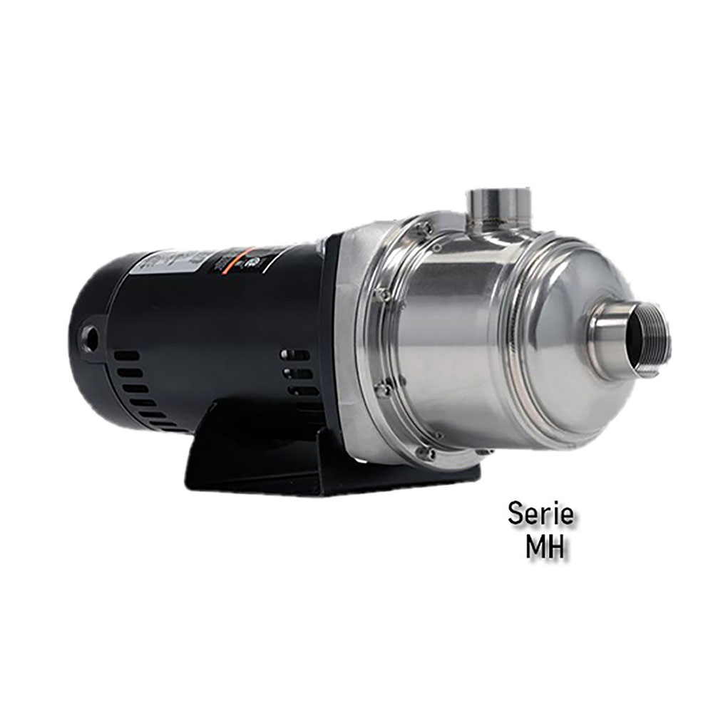 Bomba agua multietapa 1HP 1in Franklin 96063001