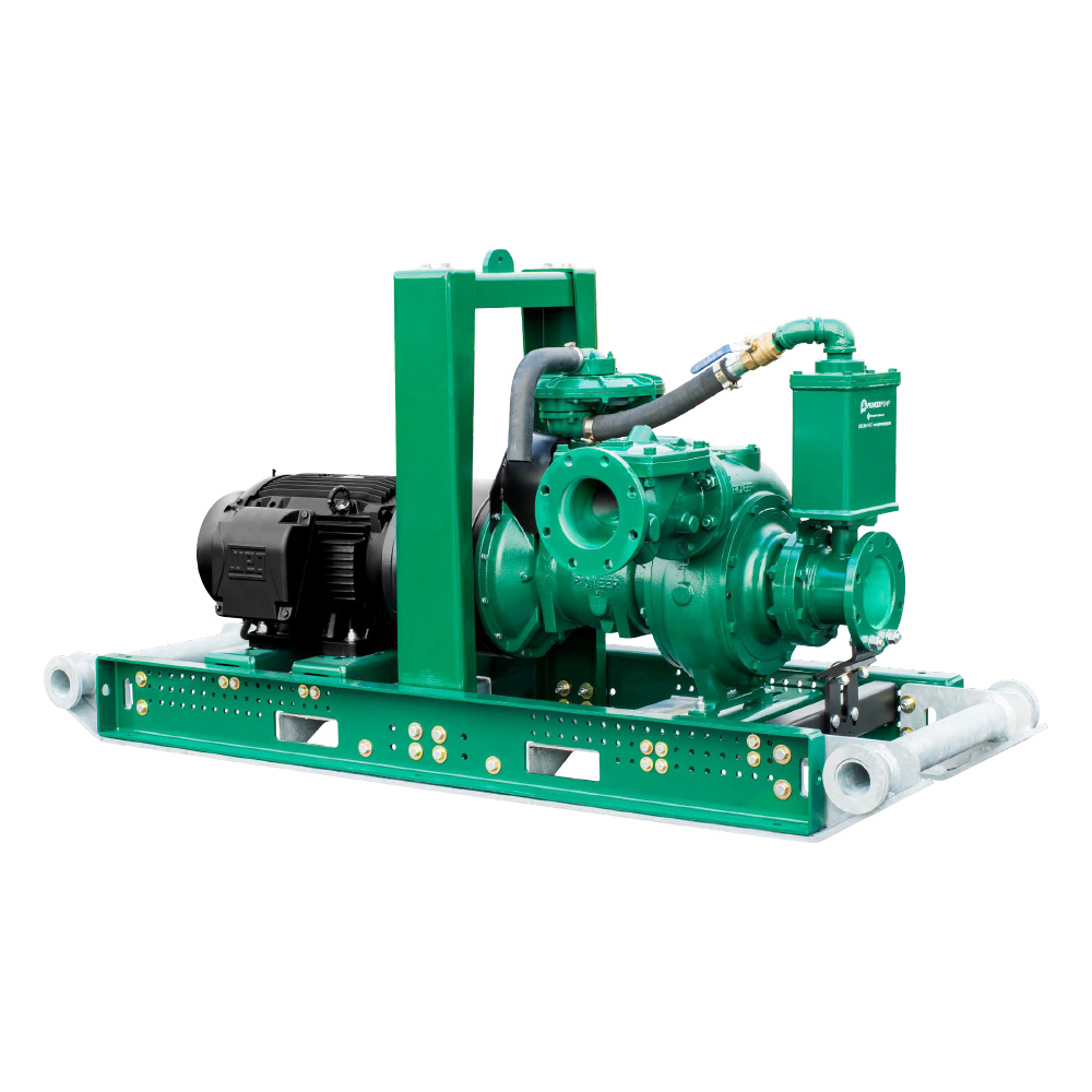 Bomba de achique Pioneer PPPE